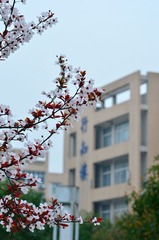 DSC_7894副本.jpg