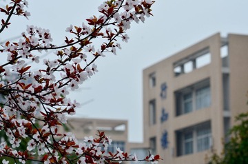 DSC_7895副本.jpg