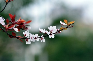 DSC_7905副本.jpg