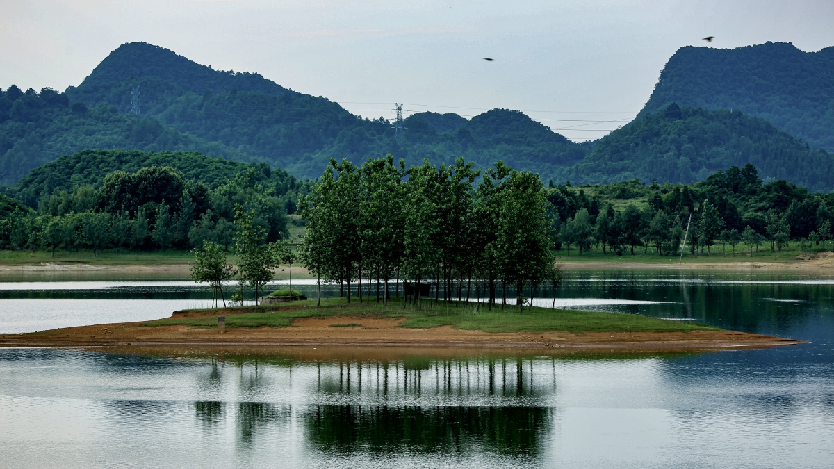 湖心小岛鸟儿飞
