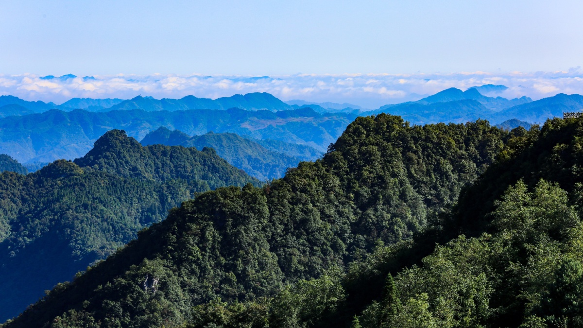 大山深处云海现