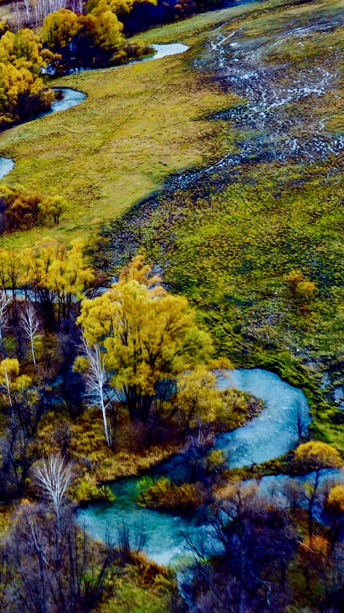 湿地秋色摄于呼伦贝尔免渡河湿地公园
