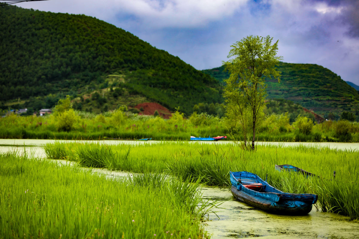 草海湿地四川泸沽湖