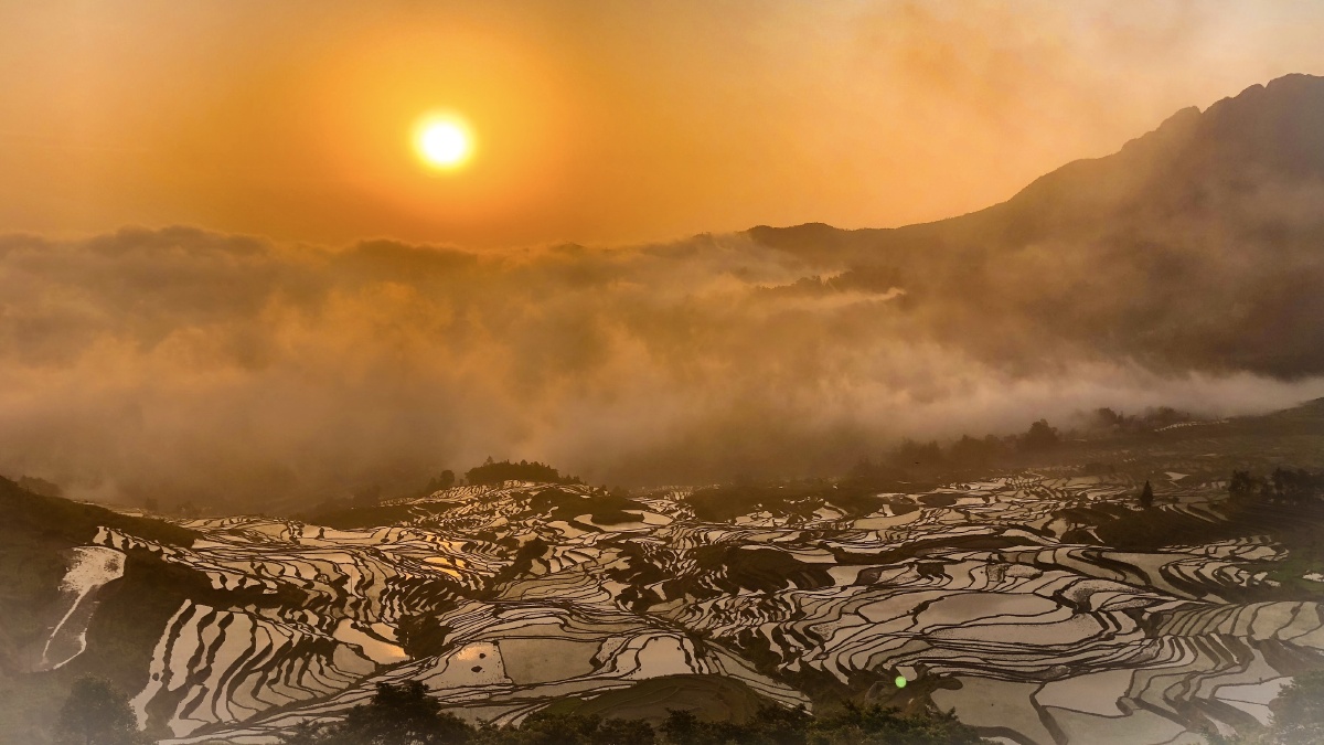 梯田日出摄于云南元阳
