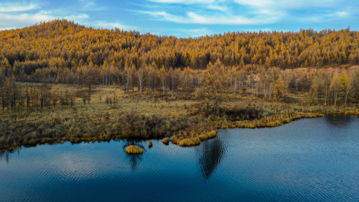 黄蓝主色调摄于阿尔山杜鹃湖