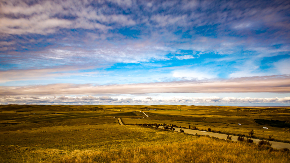 一望无际的大草原
