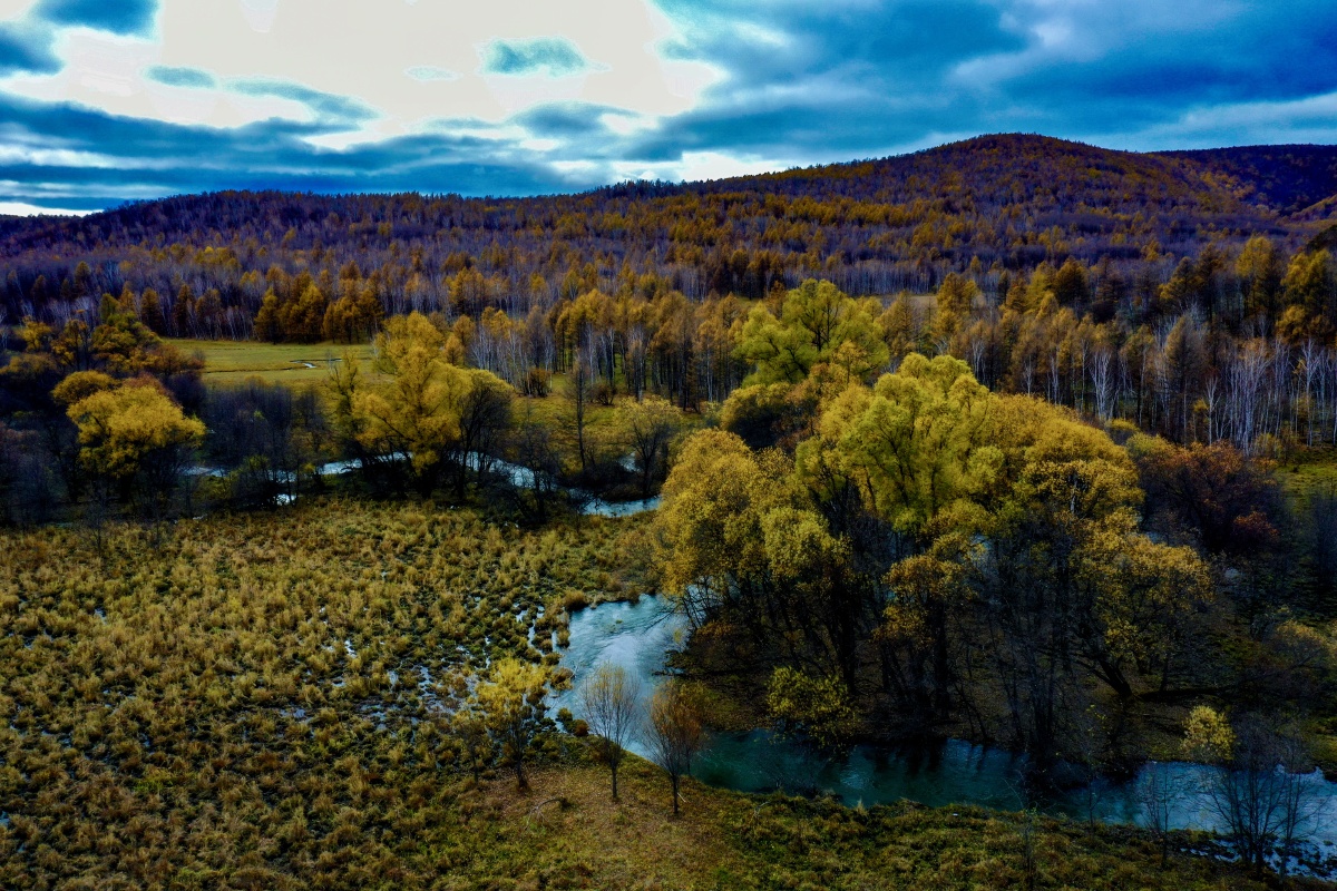 免渡河湿地的深秋