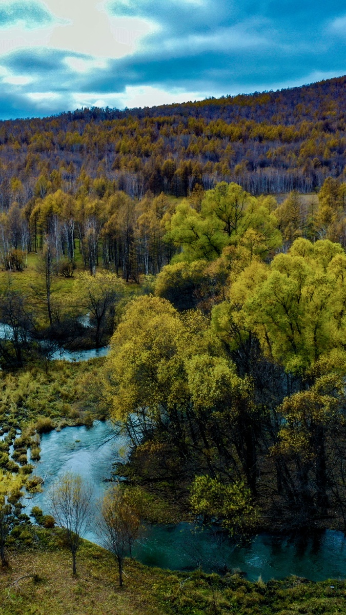 湿地风光摄于呼伦贝尔免渡河