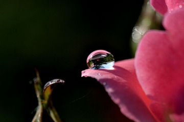 DSC_0240.JPG