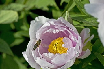 DSC_4586.jpg