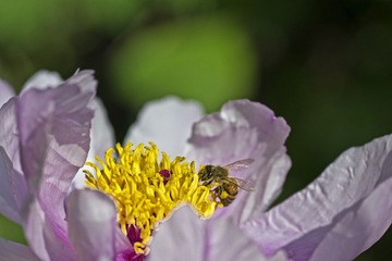 DSC_4607.jpg