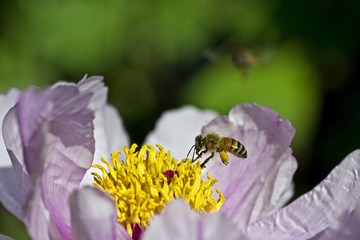 DSC_4608.jpg