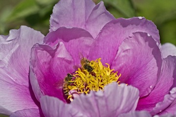DSC_4646.jpg