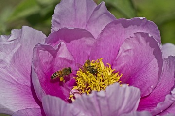 DSC_4647.jpg