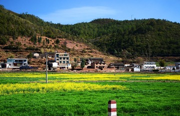 DSC_3266#.jpg