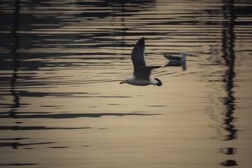 _DSC9890.JPG