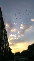 IMAG0644.jpg