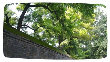 MA201209081102180010-04-00002f.jpg