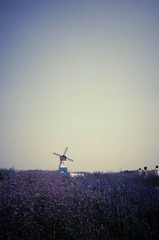 _R000183.jpg