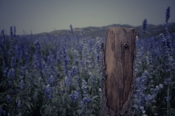 _R000182.JPG