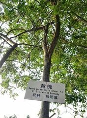 1372080