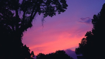 IMG_0637