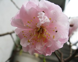 IMG_0072.jpg
