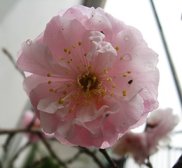 IMG_0073.jpg
