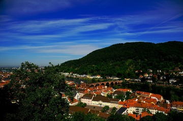 DSC_2173.jpg