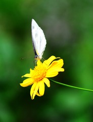 958314
