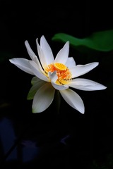 958259