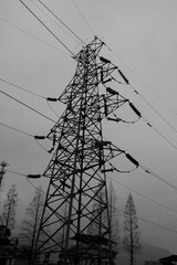 308219