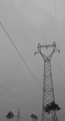 308223