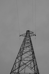 308215