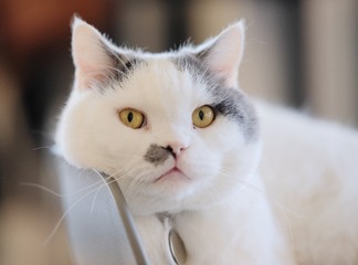 7987