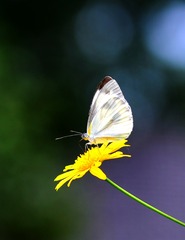 958313