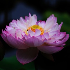 958246