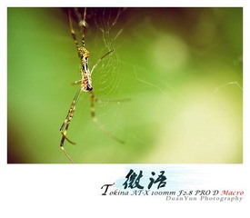 IMG_7186.jpg