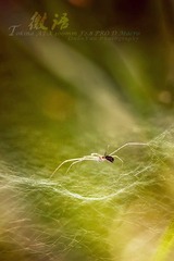 IMG_7415.jpg