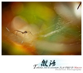 IMG_7439.jpg