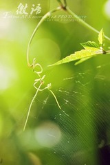 IMG_7444.jpg