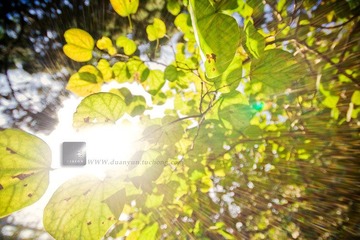IMG_9463.jpg