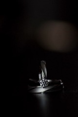 IMG_3838.jpg
