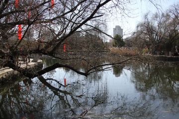 IMG_0400.JPG