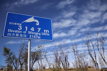 IMG_0769.JPG