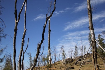 IMG_0771.JPG
