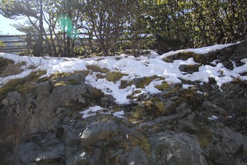 IMG_0800.JPG
