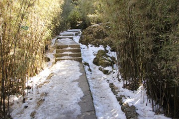 IMG_0804.JPG