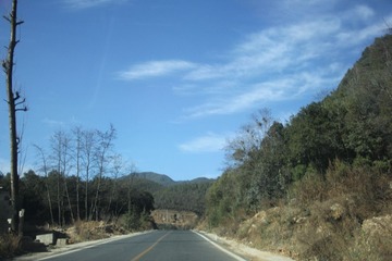 IMG_0733.JPG