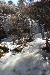 IMG_0955.JPG